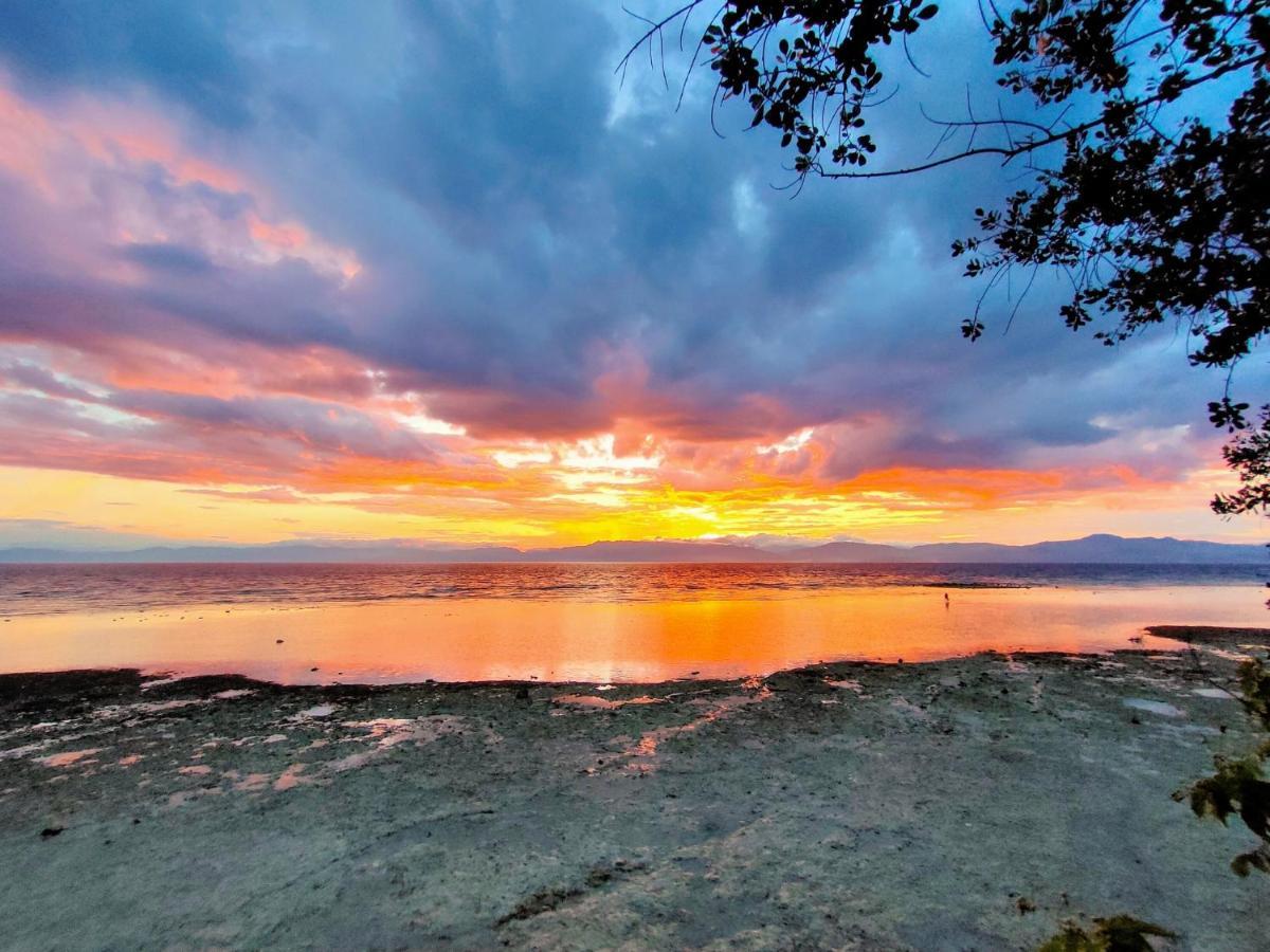 Moalboal T Breeze Coastal Resort Bagian luar foto